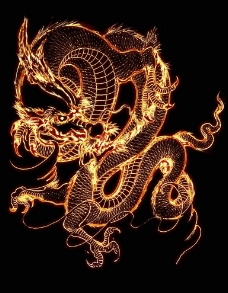 火焰龙图片