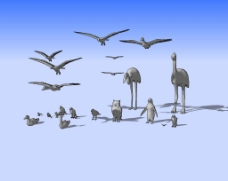 飞禽类3D模型图片
