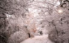 法国乡村雪景图片