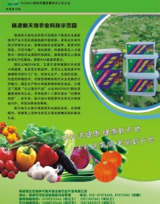 果蔬蔬菜彩页图片