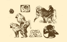 动物图案 猴图片