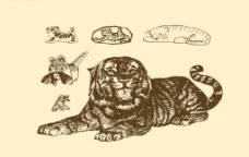 动物图案 虎图片