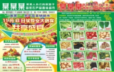 农副产品超市彩页图片