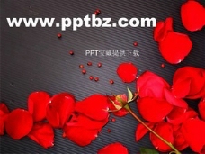 婚庆ppt模板-红色的玫瑰花瓣