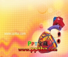 医学行业PPT模板：心脏模型