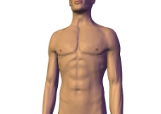 男性身体图片