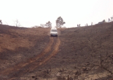 越野 爬坡 山地 赛车图片