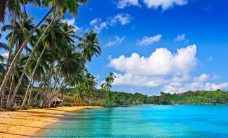 度假美丽热带海滩图片