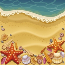 星星沙滩海星贝壳