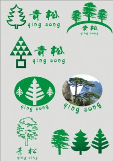 绿树关于松树的标志