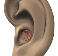 耳 耳朵图片