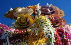 布加迪帕萨迪纳市玫瑰花车大游行图片