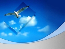 蓝色天空海鸥风景PPT模板