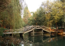 木桥图片