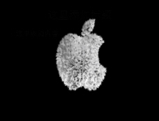 
苹果高清PPT(7)
