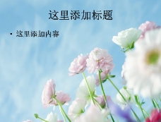 
蓝天和花的小清新风景(5)
