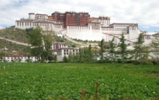 布达拉宫远景图片