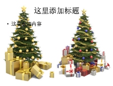 
两棵圣诞树高清图片
