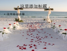 
海边浪漫婚礼
