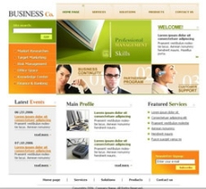 商业公司资讯介绍网站－欧美psd,flash,html网页模板