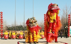 民间艺术民间传统艺术舞狮图片