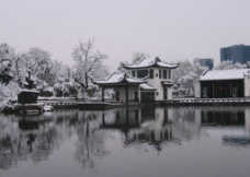 红梅公园雪景图片