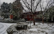 公园的冬天图片