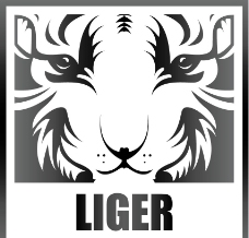 狮虎兽企业形象LOGO图片