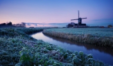 荷兰 清晨图片