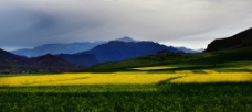 卓尔山风景图片