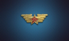 老式空军帽徽图片