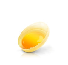 鸡蛋 鸡蛋黄 鸡蛋清 碎鸡蛋图片