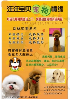 宠物狗宠物店宣传单图片