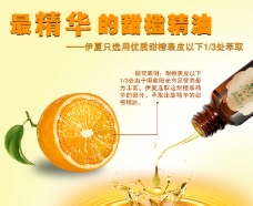 网页模板甜橙精油图片