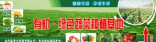 蔬菜种植基地广告图片