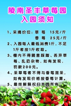 草莓采摘须知图片